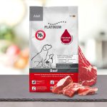 PLATINUM ADULT BEEF ΜΑΓΕΙΡΕΥΤΗ ΞΗΡΑ ΤΡΟΦΗ ΣΚΥΛΟΥ ΜΕ ΦΡΕΣΚΟ ΚΡΕΑΣ ΜΟΣΧΑΡΙΟΥ