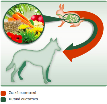 img composition nutrition