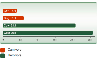 img relation alimentary canal length body