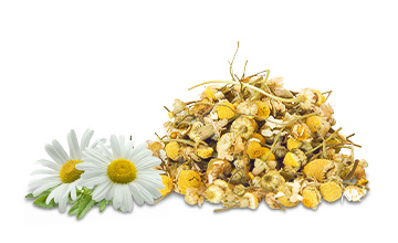 tt ingredients camomile