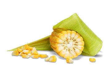 tt ingredients corn