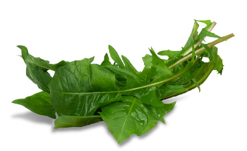 tt ingredients dandelion
