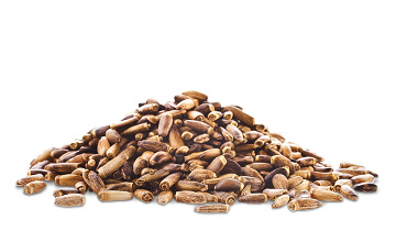 tt ingredients milk thistle seed