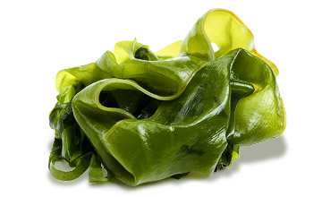 tt ingredients seaweed