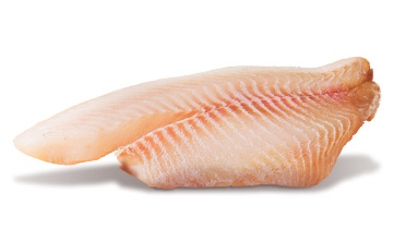 tt ingredients trout