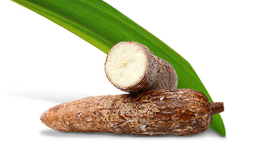 tt ingredients yucca