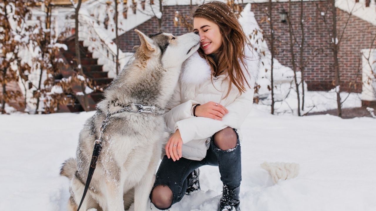 ταΐζω το σκύλο περισσότερο στο κρύο