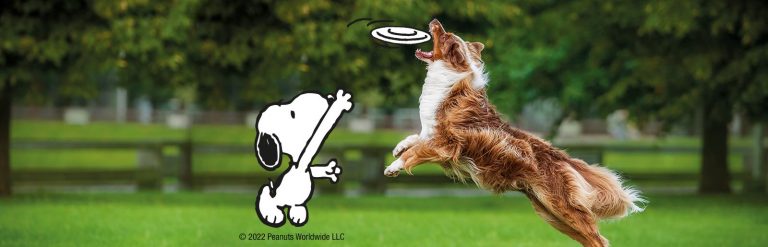 header dog food snoopy spring