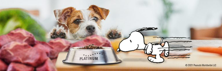 header linktree fsg 1600px